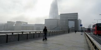 Ученые заявили о более высоких темпах распространения мутации SARS-CoV-2