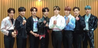 История группы Stray Kids