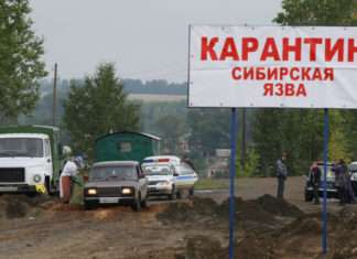 Число заболевших сибирской язвой в селе Алматинской области выросло до 11, введен карантин