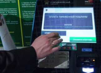 Таможенные пошлины: что можно ввезти бесплатно, виды, ставки, льготы
