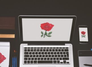 Обход пароля в MacOS — способы и защита