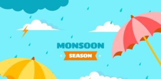 Зачем нужен Samsoon и как им пользоваться?