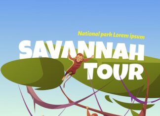Трюки в Safari 6