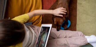 Как использовать Itunes home sharing