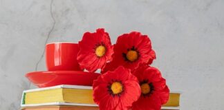 20 новых книг