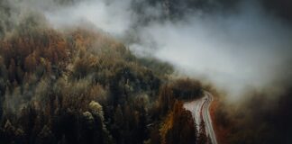 Родмуви всё или ничего