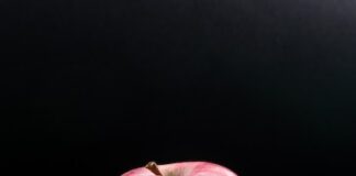 Награды Apple за дизайн 2011