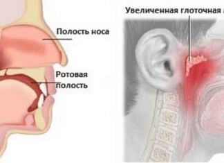 Букеты и цветы с доставкой на дом: как сделать каждый день особенным