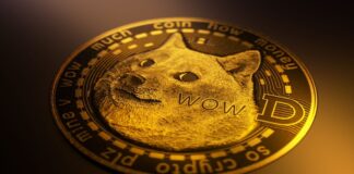 Компания 21Shares запустила второй в США спотовый ETF на Dogecoin