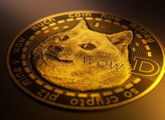 Компания 21Shares запустила второй в США спотовый ETF на Dogecoin