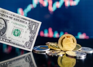 Компания CleanCore Solutions добавила в казну более 710 млн Dogecoin