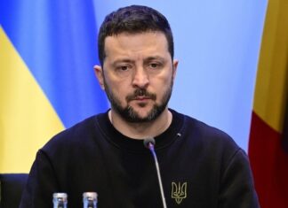 В Совфеде отреагировали на сообщения о плане побега Зеленского
