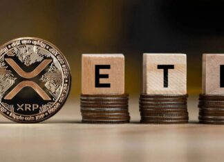 Запуск XRP-ETF от Bitwise состоится 20 ноября, но у сообщества есть вопросы по тикеру