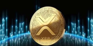 ETF на основе XRP поставил рекорд по объёму торгов в первый день