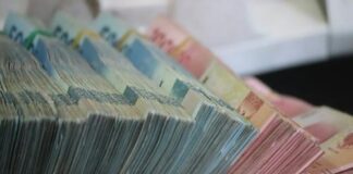 Депутаты предложили разрешить россиянам бесплатно просматривать кредитную историю
