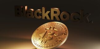 IBIT от BlackRock стал самым торгуемым биржевым фондом в период роста биткоина