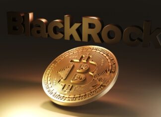 IBIT от BlackRock стал самым торгуемым биржевым фондом в период роста биткоина