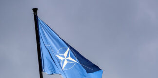 Стало известно, что у НАТО нет плана действий на случай выхода США из альянса