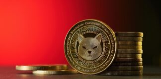 Цена Shiba Inu упала на 66% за год. Есть ли шансы на восстановление?