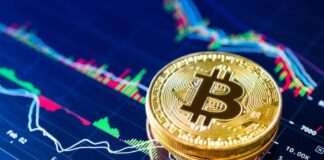 В VanEck составили долгосрочный прогноз на биткоин до 2050 года