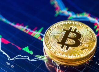 В VanEck составили долгосрочный прогноз на биткоин до 2050 года