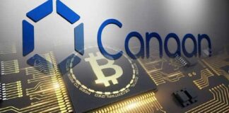 Производитель майнингового оборудования Canaan приобрёл долю Cipher Mining за $40 млн