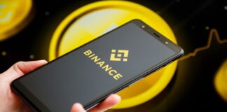 На Binance можно заработать 12,51% годовых за хранение KGST