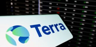 Управляющий активами Terraform подал в суд на компанию Jane Street из-за краха Terra
