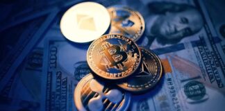 В деле Crypto Capital Corp нашли след израильской мафиозной сети