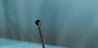 Искусство приготовления граниты: традиции и рецепты