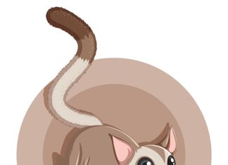 Жизнь с котом