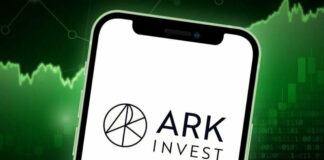 Компания Ark Invest Кэти Вуд купила акции Circle Internet Group и SpaceX