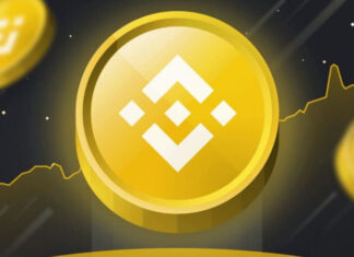 Начался обратный отсчёт до обновления сети BNB Chain под названием Pasteur